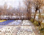 乔治 希区柯克 : Spring Crosuc Fields